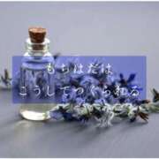 ヒメ日記 2025/10/21 13:25 投稿 しゅう マダム可憐