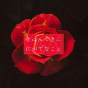 ヒメ日記 2025/10/29 12:43 投稿 しゅう マダム可憐