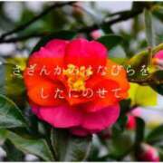 ヒメ日記 2025/11/03 12:45 投稿 しゅう マダム可憐