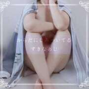 ヒメ日記 2025/11/14 12:49 投稿 しゅう マダム可憐