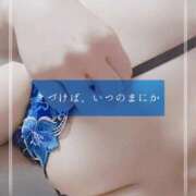 ヒメ日記 2025/11/18 12:31 投稿 しゅう マダム可憐