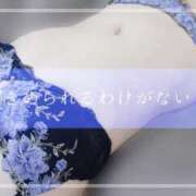 ヒメ日記 2025/11/19 12:53 投稿 しゅう マダム可憐