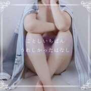 ヒメ日記 2025/12/16 13:19 投稿 しゅう マダム可憐