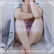 ヒメ日記 2025/12/29 12:28 投稿 しゅう マダム可憐