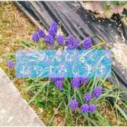 ヒメ日記 2026/01/06 12:22 投稿 しゅう マダム可憐