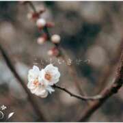 ヒメ日記 2026/03/04 12:20 投稿 しゅう マダム可憐