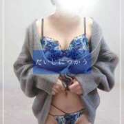 ヒメ日記 2026/03/15 12:19 投稿 しゅう マダム可憐