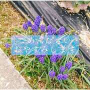 ヒメ日記 2026/03/27 12:48 投稿 しゅう マダム可憐