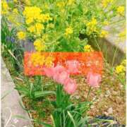 ヒメ日記 2026/03/28 12:57 投稿 しゅう マダム可憐