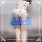 ヒメ日記 2026/03/29 12:48 投稿 しゅう マダム可憐