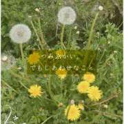 ヒメ日記 2026/04/07 13:04 投稿 しゅう マダム可憐