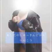 ヒメ日記 2026/04/20 12:20 投稿 しゅう マダム可憐