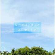 ヒメ日記 2026/05/25 12:48 投稿 しゅう マダム可憐