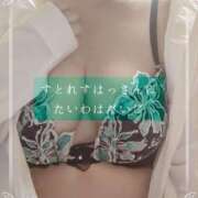 しゅう すとれすはっさんに、たいわはだいじ マダム可憐
