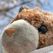 ヒメ日記 2025/08/01 12:06 投稿 まりん 三浦屋別館