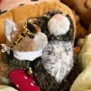 ヒメ日記 2025/08/03 12:46 投稿 まりん 三浦屋別館