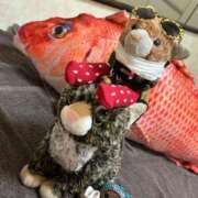 ヒメ日記 2025/08/03 17:56 投稿 まりん 三浦屋別館