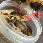 ヒメ日記 2025/08/16 17:56 投稿 まりん 三浦屋別館