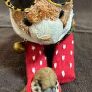 ヒメ日記 2025/08/31 15:56 投稿 まりん 三浦屋別館