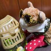 ヒメ日記 2025/09/04 11:26 投稿 まりん 三浦屋別館