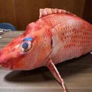 ヒメ日記 2025/09/27 17:46 投稿 まりん 三浦屋別館