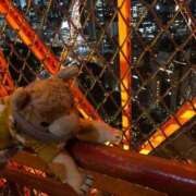 ヒメ日記 2025/10/01 20:56 投稿 まりん 三浦屋別館