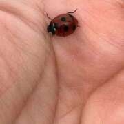 ヒメ日記 2025/10/03 13:20 投稿 まりん 三浦屋別館