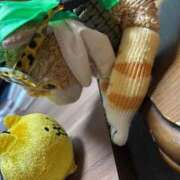 ヒメ日記 2025/10/03 16:36 投稿 まりん 三浦屋別館