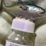 ヒメ日記 2025/10/24 14:26 投稿 まりん 三浦屋別館