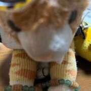 ヒメ日記 2025/10/26 16:24 投稿 まりん 三浦屋別館