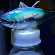 ヒメ日記 2025/11/03 11:56 投稿 まりん 三浦屋別館