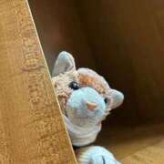 ヒメ日記 2025/11/14 10:36 投稿 まりん 三浦屋別館