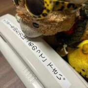 ヒメ日記 2025/11/16 17:46 投稿 まりん 三浦屋別館