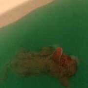 ヒメ日記 2025/11/27 13:56 投稿 まりん 三浦屋別館