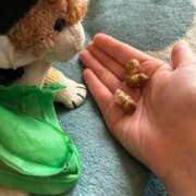 まりん エサかよ、 三浦屋別館