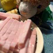 ヒメ日記 2025/12/08 14:58 投稿 まりん 三浦屋別館