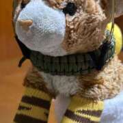 ヒメ日記 2025/12/24 16:56 投稿 まりん 三浦屋別館