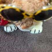 ヒメ日記 2025/12/31 22:06 投稿 まりん 三浦屋別館