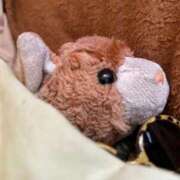 ヒメ日記 2026/01/09 16:45 投稿 まりん 三浦屋別館