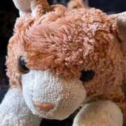 ヒメ日記 2026/01/25 12:56 投稿 まりん 三浦屋別館