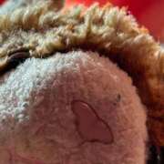 ヒメ日記 2026/02/19 11:46 投稿 まりん 三浦屋別館