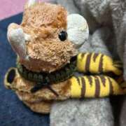 ヒメ日記 2026/03/09 16:36 投稿 まりん 三浦屋別館