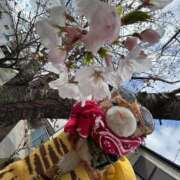 ヒメ日記 2026/03/27 10:56 投稿 まりん 三浦屋別館