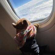 ヒメ日記 2026/03/29 17:41 投稿 まりん 三浦屋別館