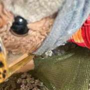 ヒメ日記 2026/05/03 11:46 投稿 まりん 三浦屋別館