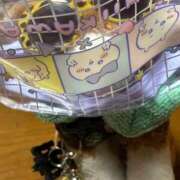 ヒメ日記 2026/09/20 12:06 投稿 まりん 三浦屋別館