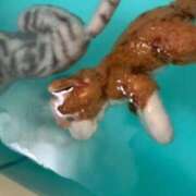 ヒメ日記 2026/09/22 12:06 投稿 まりん 三浦屋別館