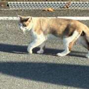 ヒメ日記 2026/10/10 22:06 投稿 まりん 三浦屋別館