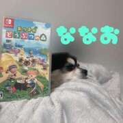 ヒメ日記 2024/12/25 16:59 投稿 ななお Okini所沢