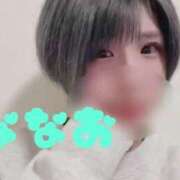 ヒメ日記 2025/04/11 15:47 投稿 ななお Okini所沢